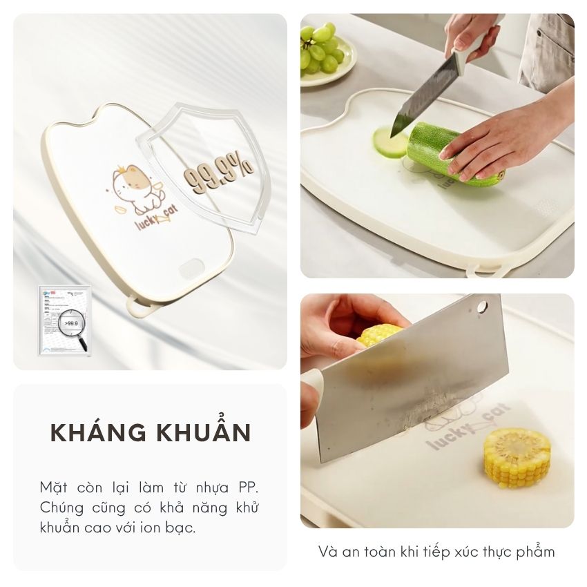 thot-inox-meo-nguyen-khoi-nhieu-size-khang-khuan-cao-cap-co-quai-cam-thot-meo-2-mat-dxcbinmeos-29